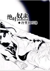 绝对奴隶TXT全集封面