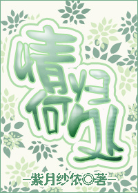 情归何处TXT全集封面