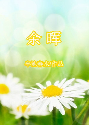 余晖TXT全集封面