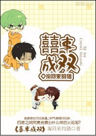 喜事成双TXT全集封面