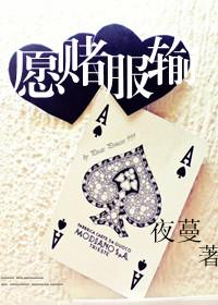 愿赌服输TXT全集封面