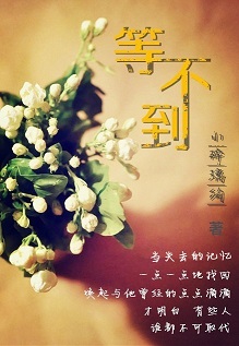 等不到TXT全集封面