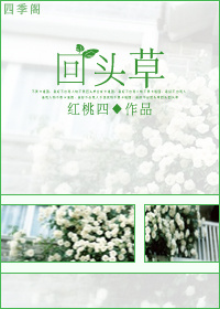 回头草TXT全集封面