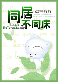 同居不同床TXT全集封面
