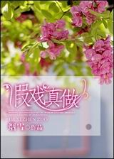 假戏真做TXT全集封面