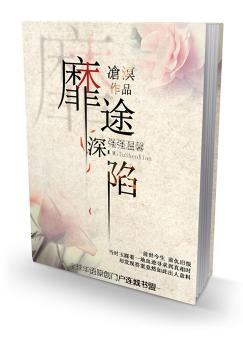 靡途深陷TXT全集封面