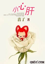 小心肝TXT全集封面
