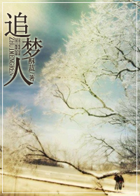 追梦人TXT全集封面
