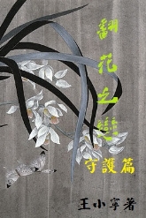 翻花之恋-守护篇TXT全集封面