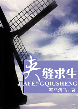 夹缝求生TXT全集封面