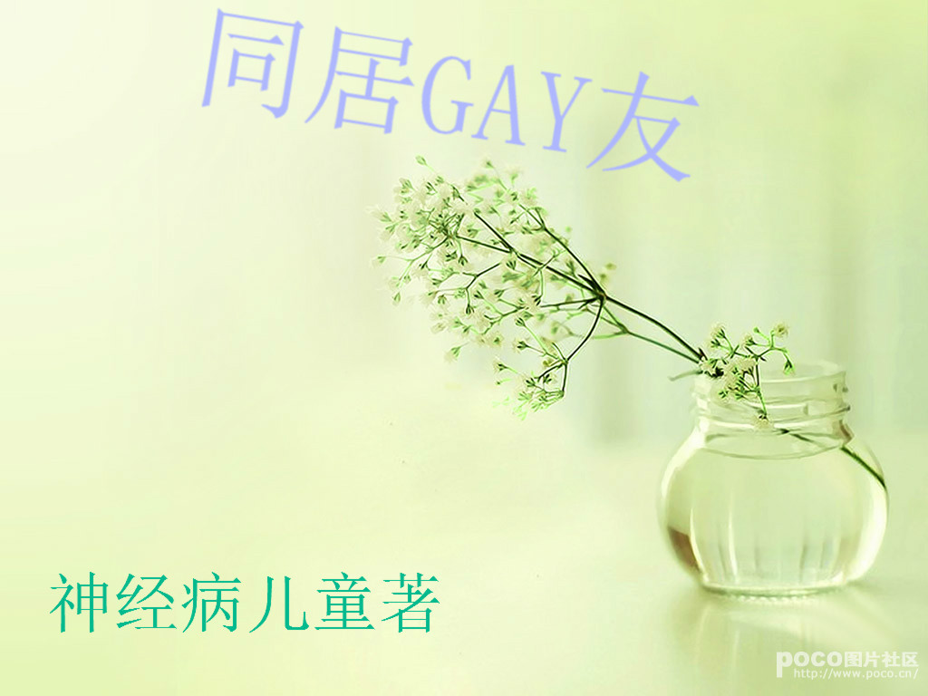 同居gay友TXT全集封面