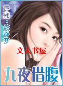 九夜借腹TXT全集封面