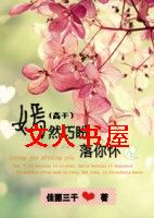 嫣然巧盼落你怀(高干)TXT全集封面