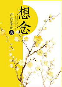 想念TXT全集封面