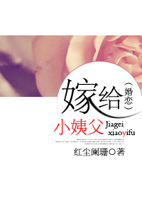 嫁给小姨父(婚恋)TXT全集封面