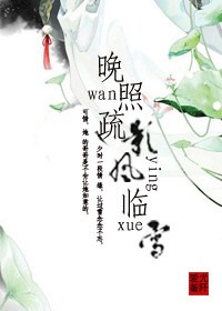 晚照疏影风临雪TXT全集封面
