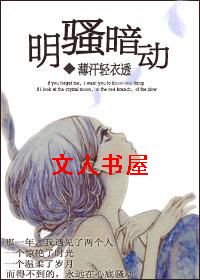 明骚暗动TXT全集封面