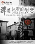 那些执着的爱恋TXT全集封面