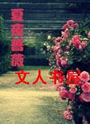 夏末蔷薇TXT全集封面