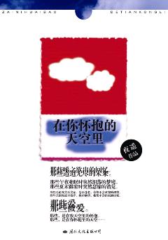 在你怀抱的天空里TXT全集封面