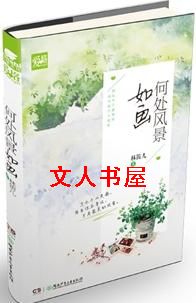 何处风景如画TXT全集封面