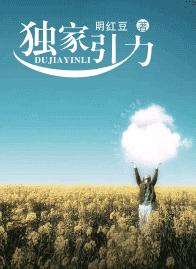 独家引力TXT全集封面