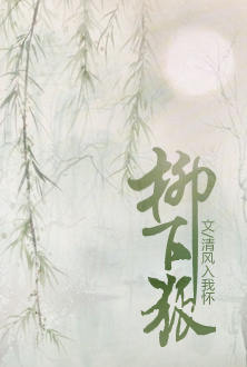 柳下狐TXT全集封面