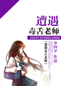遭遇毒舌老师TXT全集封面