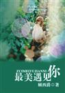 最美遇见你 完结TXT全集封面