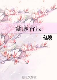 紫藤青辰TXT全集封面