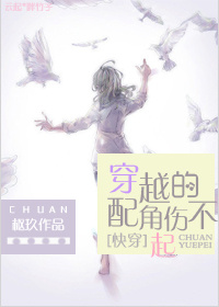 穿越的配角伤不起TXT全集封面