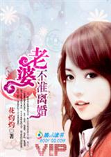 宝贝,我认栽:老婆,不准离婚!TXT全集封面
