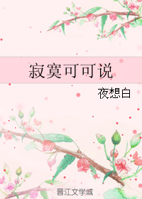 寂寞可可说TXT全集封面