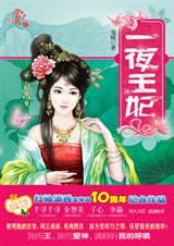宫廷情仇:一夜王妃TXT全集封面