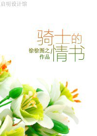 骑士的情书TXT全集封面