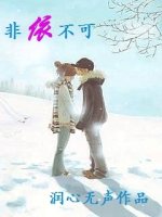 非依不可TXT全集封面