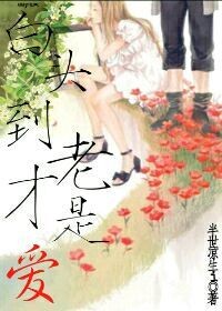 白头到老才是爱TXT全集封面