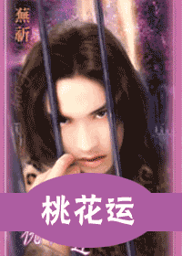 桃花运(出书版)TXT全集封面