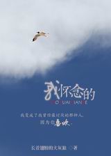 我怀念的TXT全集封面