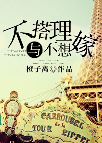 不搭理与不想嫁TXT全集封面