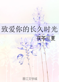 致爱你的长久时光TXT全集封面