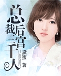 总裁后宫三千人TXT全集封面