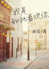我是如此喜欢你TXT全集封面