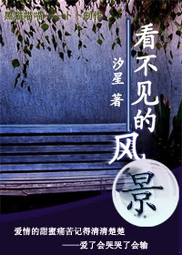 看不见的风景TXT全集封面