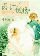 设计成婚TXT全集封面