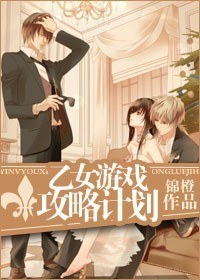 乙女游戏攻略计划TXT全集封面