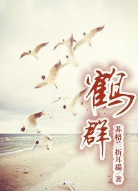 鹤群TXT全集封面