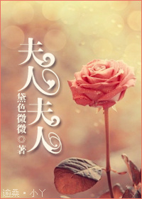 夫人,夫人TXT全集封面