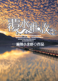 覆水难收TXT全集封面