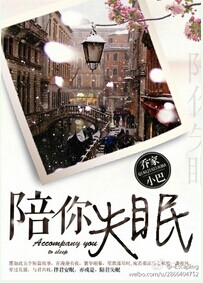 陪你失眠TXT全集封面